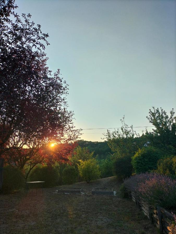 Sotto La Luna Bruna B&B Cocconato Exteriör bild