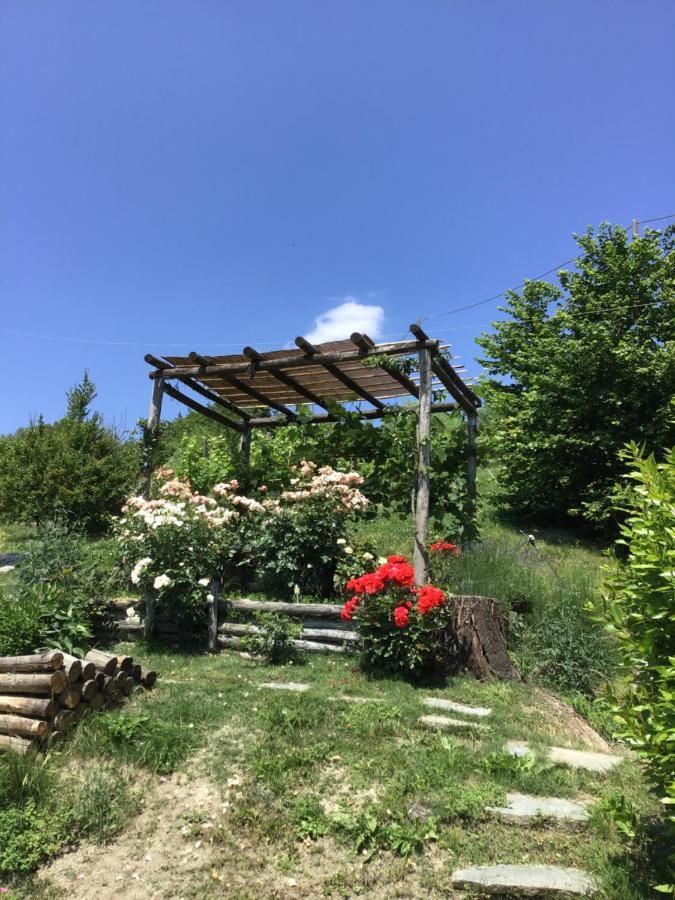 Sotto La Luna Bruna B&B Cocconato Exteriör bild