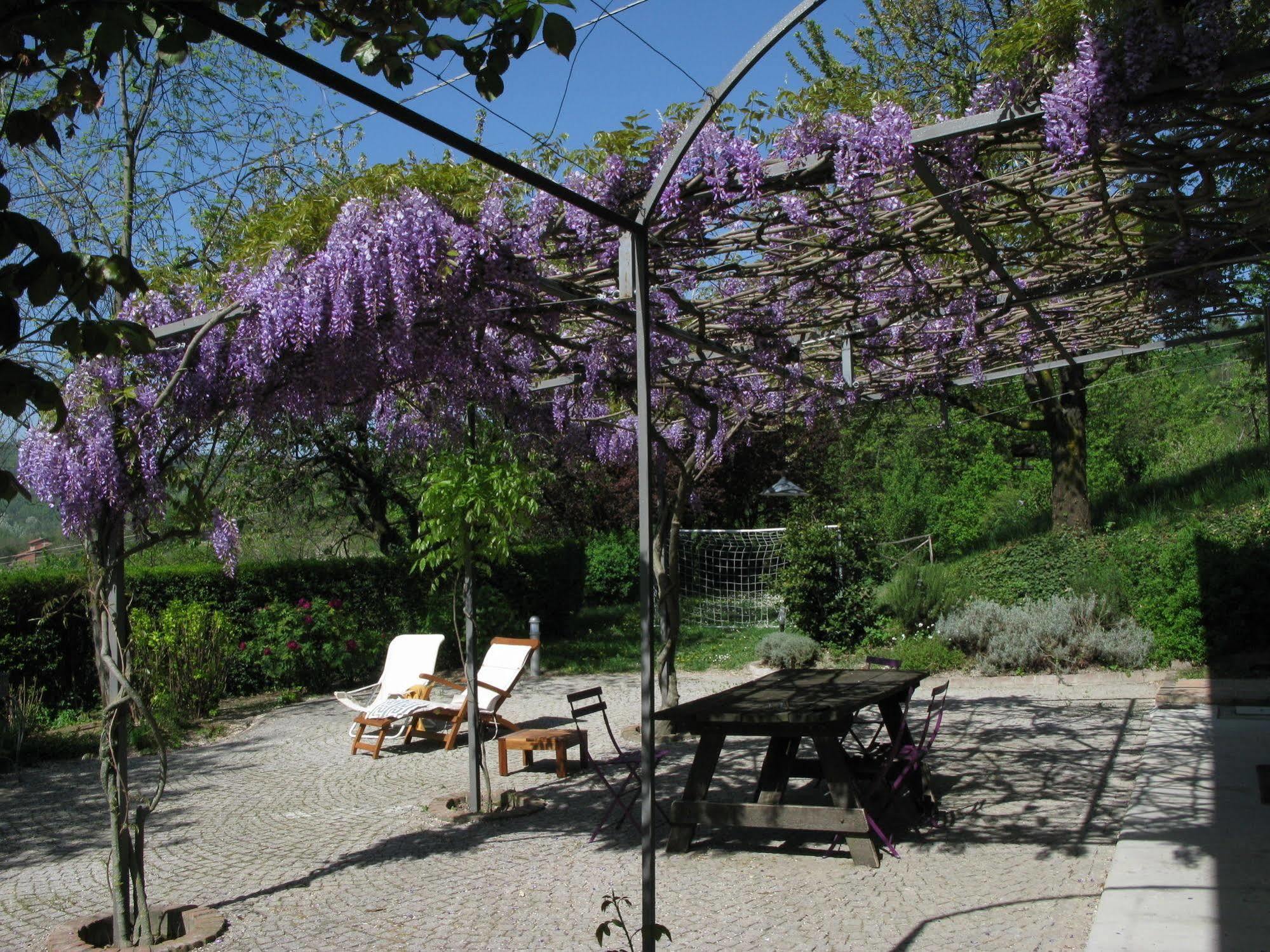 Sotto La Luna Bruna B&B Cocconato Exteriör bild