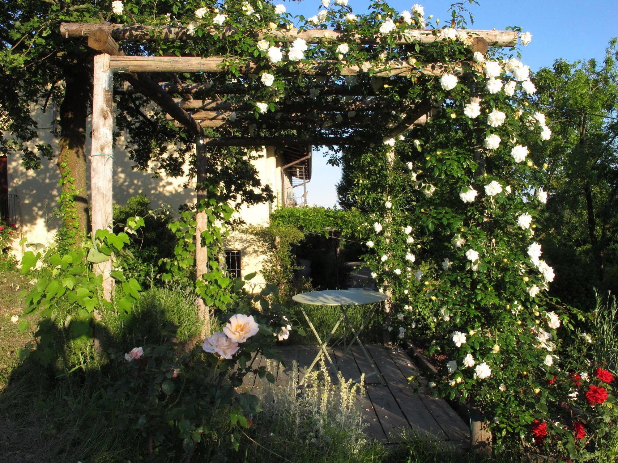 Sotto La Luna Bruna B&B Cocconato Exteriör bild